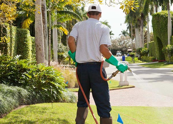 About Bantam CT Pest Control